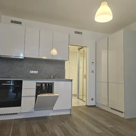 Centre Luxury & Parking Prága