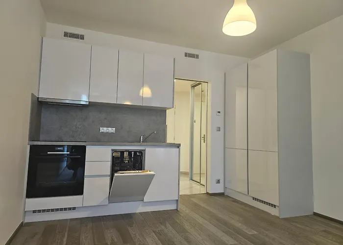 Centre Luxury & Parking - With Large Glass Balcony براغ